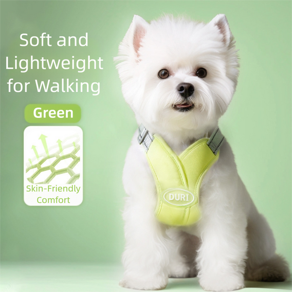 No Pull Breathable Small Dog Harness with Multifunction Dog Leash