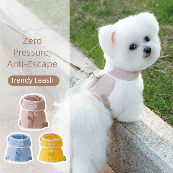 Puppy Harness with Leash Set, Dog Harness for Small Dogs No Pull