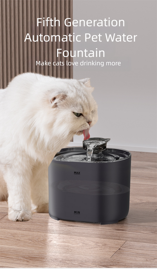 Cat Water Fountain - Black  With 4 Filters Replacement